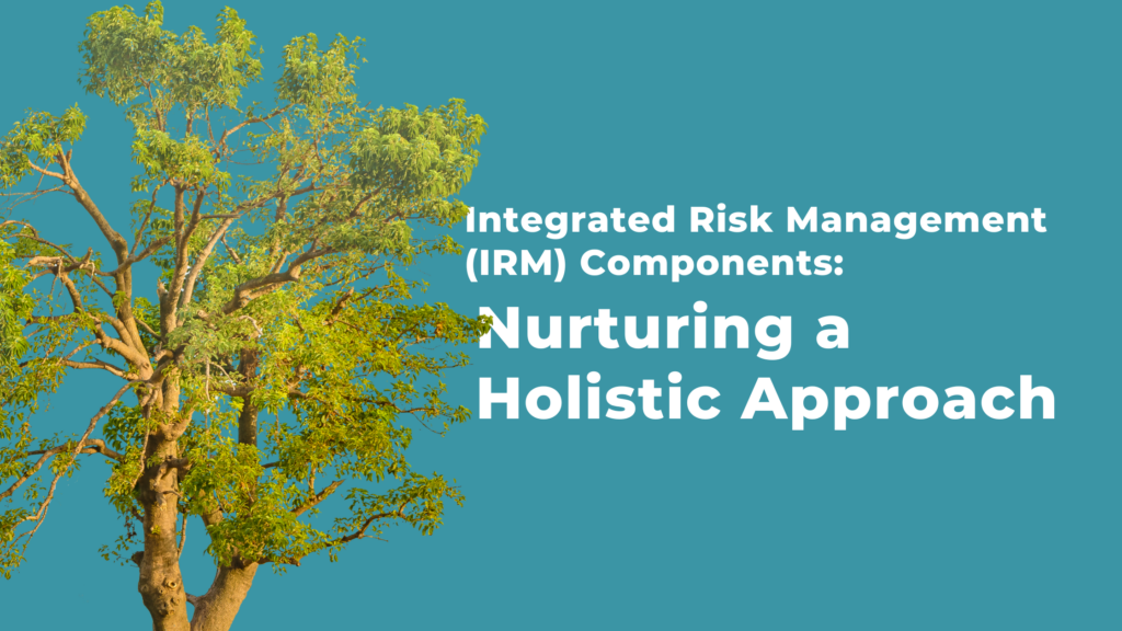 Integrated Risk Management (IRM) Components: Nurturing a Holistic Approach