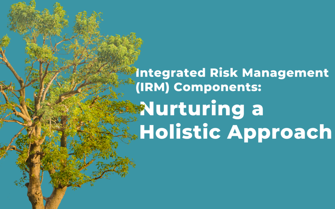 Integrated Risk Management (IRM) Components: Nurturing a Holistic Approach