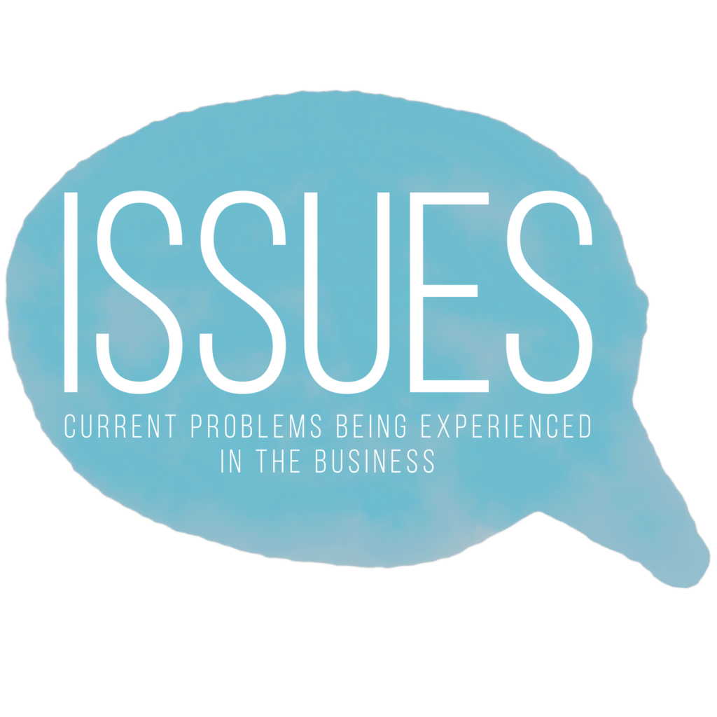 Issues: current problems being experienced in the business