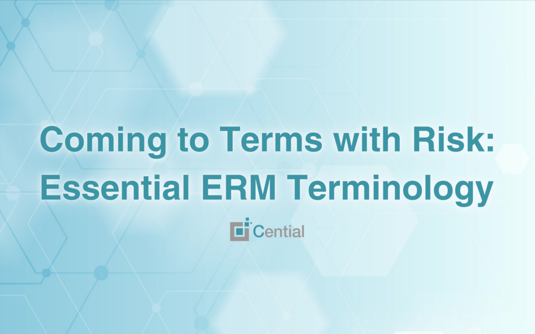 Coming to Terms with Risk: Essential ERM Terminology